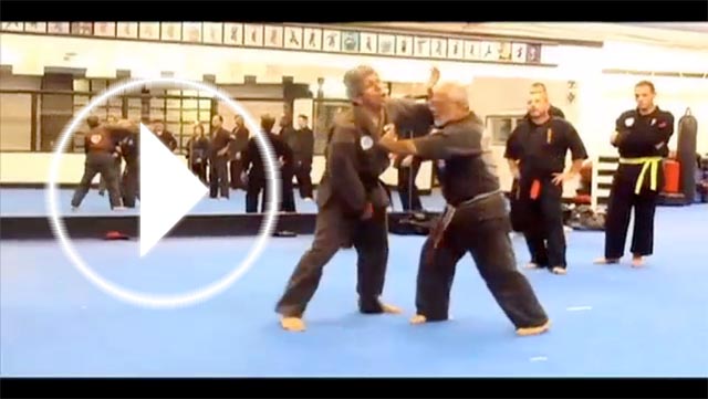 Martial Art video